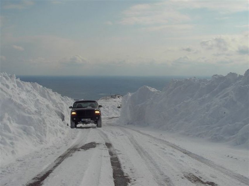 sous la neige 3.jpg